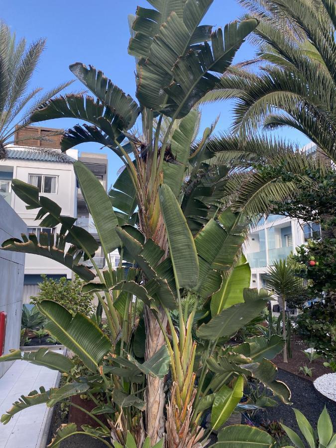 Sun And Surf Stay Corralejo Ngoại thất bức ảnh
