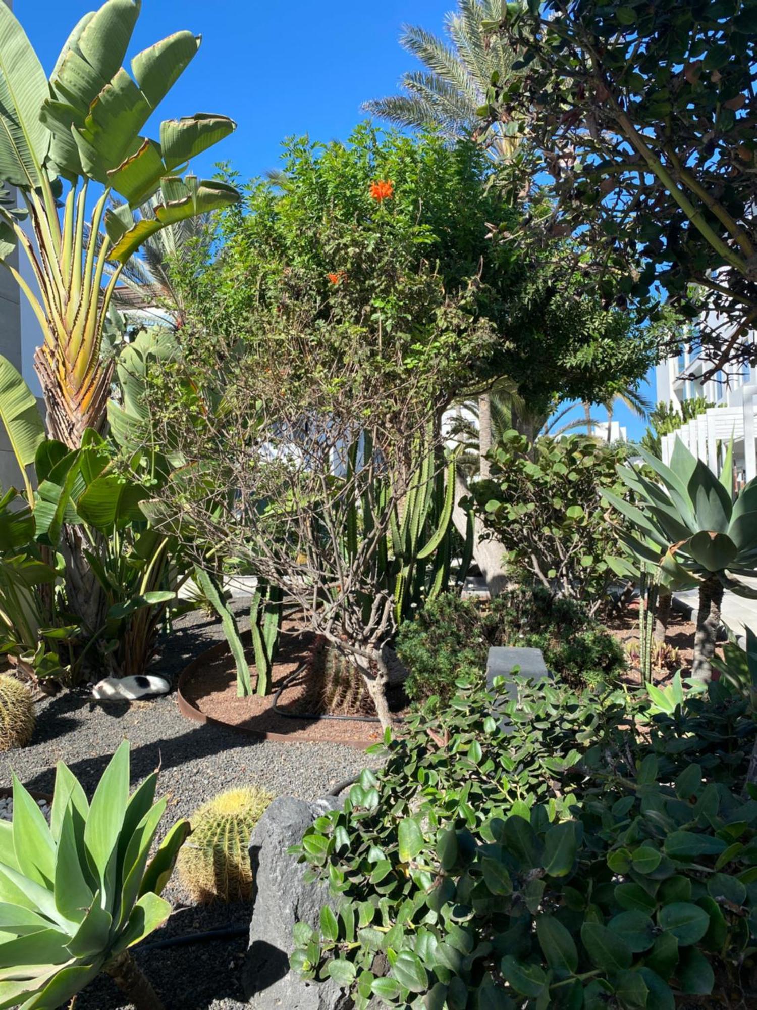 Sun And Surf Stay Corralejo Ngoại thất bức ảnh