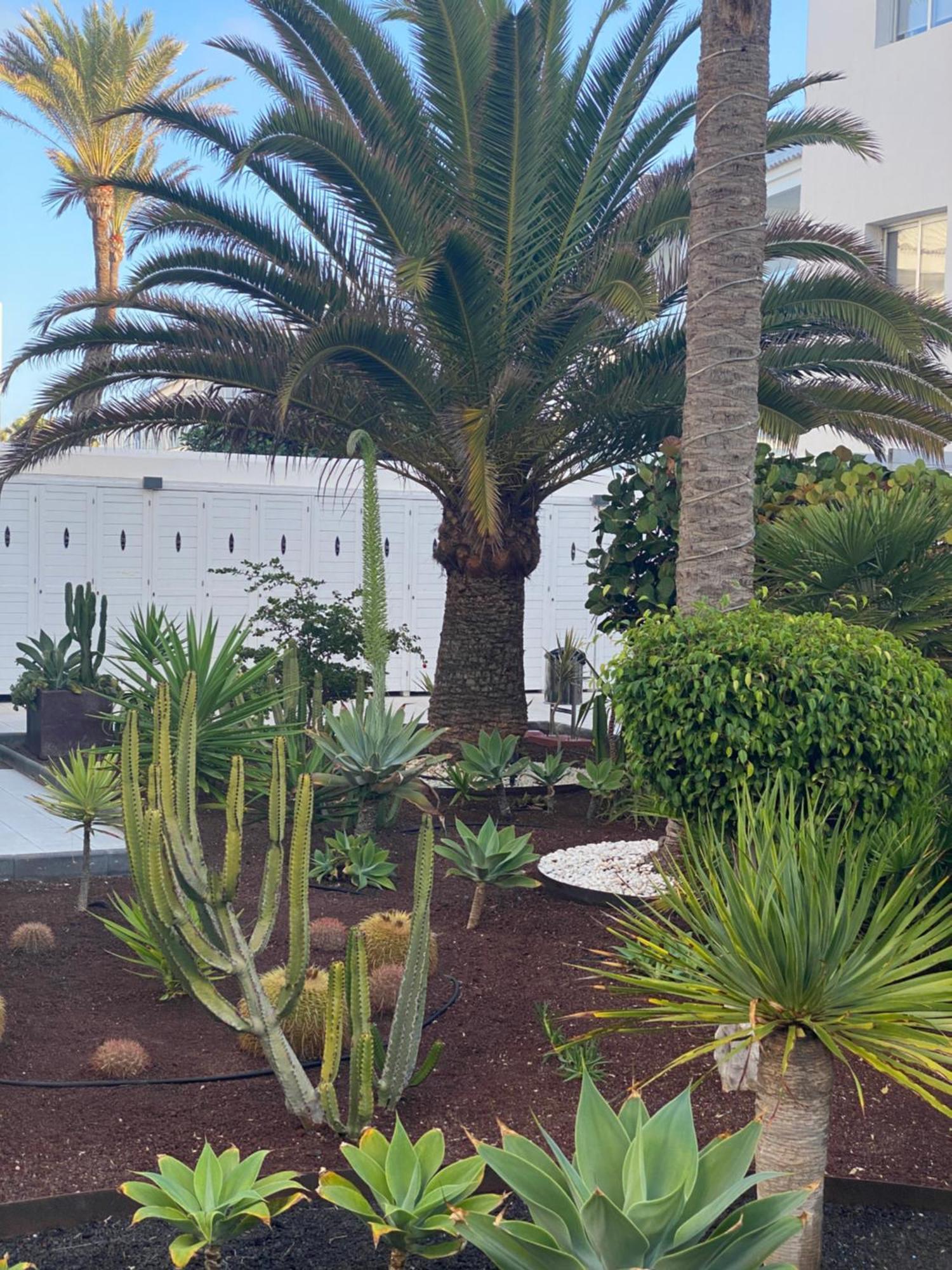 Sun And Surf Stay Corralejo Ngoại thất bức ảnh