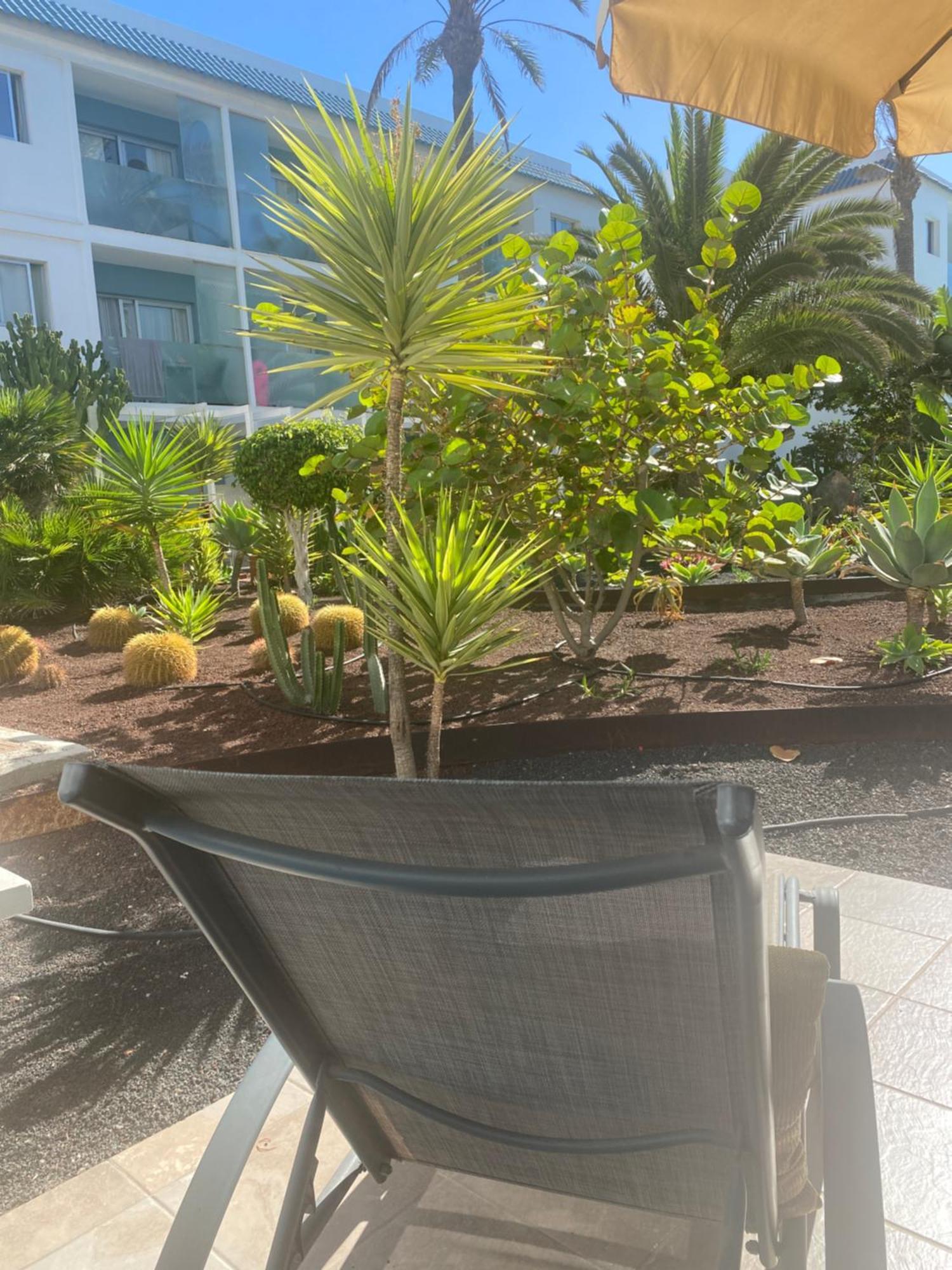 Sun And Surf Stay Corralejo Ngoại thất bức ảnh